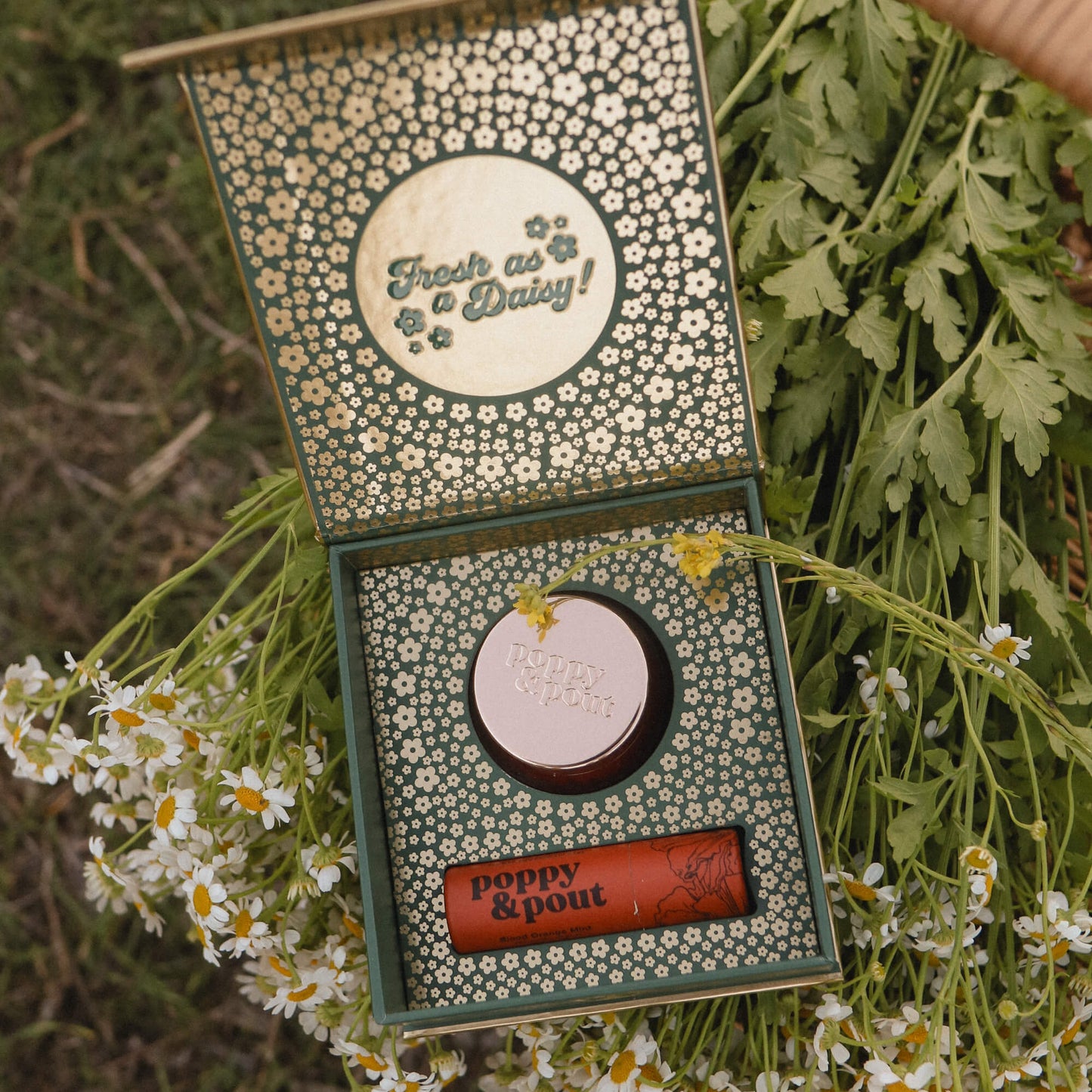 Lip Care Duo, Blood Orange Mint