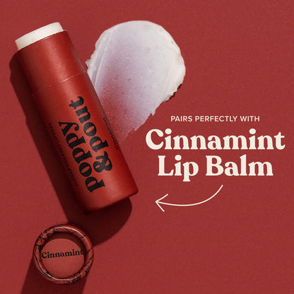 Lip Scrub, Cinnamint