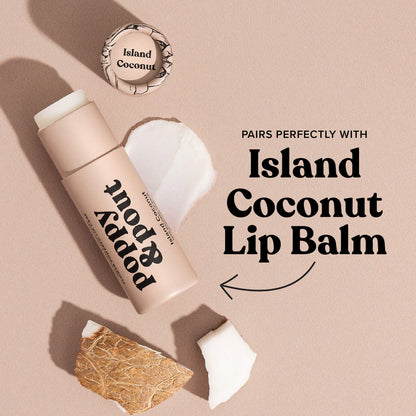 Lip Scrub, Island Coconut